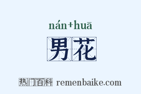 男花是什么意思的图片
